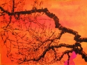 Autumn%20Sunset%20with%20Pink%20Apparition (thumbnail)