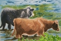 they%27re%20coming%20home (thumbnail)