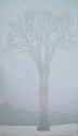 Lady%20of%20the%20Elm%20%28winter%29 (thumbnail)