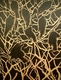 Painting--Acrylic-AnimalsSunset  Roost