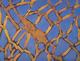 Painting--Acrylic-LandscapeAutumn Entanglement