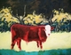 Painting--Acrylic-AnimalsDecaffinated Red Bull