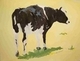 Painting--Watercolor-Animalsturning