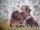 Painting--Watercolor-AnimalsWatching