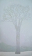 Painting--Acrylic-BotanicalLady of the Elm (winter)