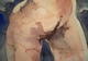 Painting--Watercolor-Nudedancing