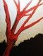 Painting--Acrylic-BotanicalRed Tree at Sunset
