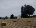 Farm House