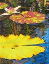 Water Lilies