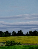 Frank DePietro - Sunflower Field