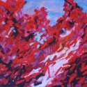 Desert%20Dawn (thumbnail)