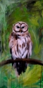 Barred%20Owl (thumbnail)