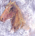 Gayla's horse