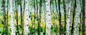 Dawna Kinne-Magliacano - Ken &amp; Nikki's Backyard Birch