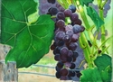 Fall%202010%20Intro%20to%20Painting%20%231 (thumbnail)