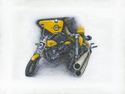 Yellow%20Jacket (thumbnail)