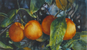 Gail Faulkner watercolors, still life painting - Still Life Painting