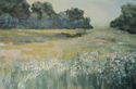 Tennessee%20Valley (thumbnail)