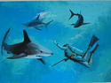 Mako%20Sharks%20with%20Diver (thumbnail)