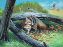 Fox%20with%20Hunter (thumbnail)