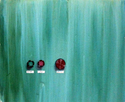 Painting--Acrylic-SpiritualStart Stop & Insha'Allah