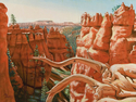Bryce Canyon View