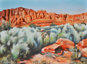 Kayenta Sage