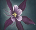 Columbine