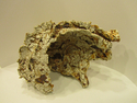 Edgy