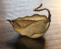 Pokadot Melon Vessel