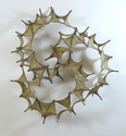 Spiky Volute II