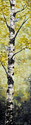 birch%20%26%20nuthatch (thumbnail)