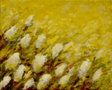tulip patch