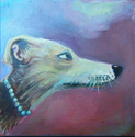 Whippet (thumbnail)