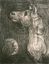 Drypoint, Engraving and Monotype
Horse
Childrens book illustration - Animals Print Making