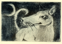 Moontail%20%28Blue%20Black%29 (thumbnail)