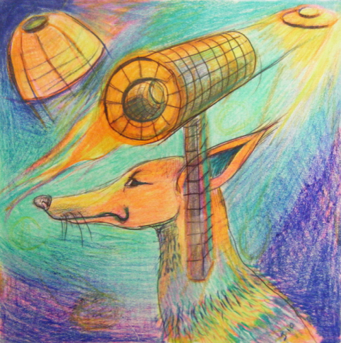 Saucer%20Dog (large view)