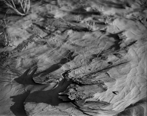 Photography-Landscape-Desert Texture #9, Mojave Desert, California 2004