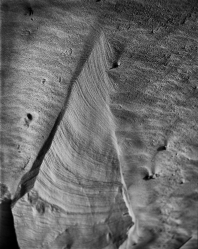 Photography-Landscape-Desert Texture #4, Mojave Desert, California 2004