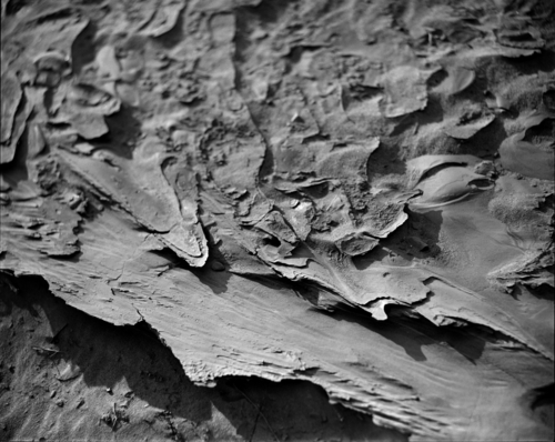 Photography-Landscape-Desert Texture #5, Mojave Desert, California 2004