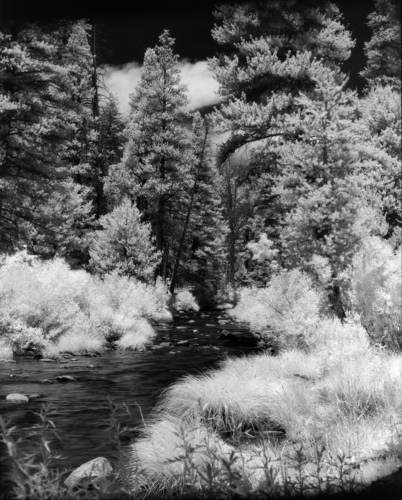 Photography-Landscape-Kern River at Monache Meadows #1