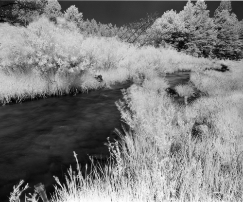 Photography-Landscape-Kern River at Monache Meadows #2