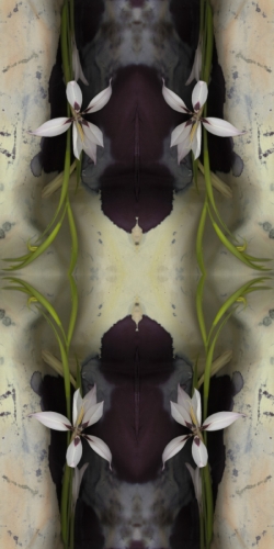 Wonders of Floral and Fabric