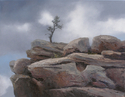 Painting--Oil-LandscapeCOMMUNING
