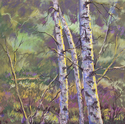 Dappled%20Trees (thumbnail)