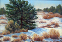 Pinon%20in%20Winter (thumbnail)