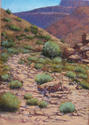 Taos%20Canyon%20Arroya (thumbnail)