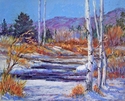 "Chama Country Winter" %22Chama%20Country%20Winter%22 (thumbnail)