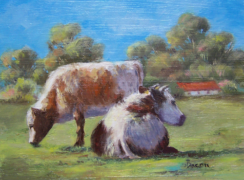 No%20Bull (large view)
