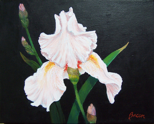 %22Pink%20Lady%22 (large view)